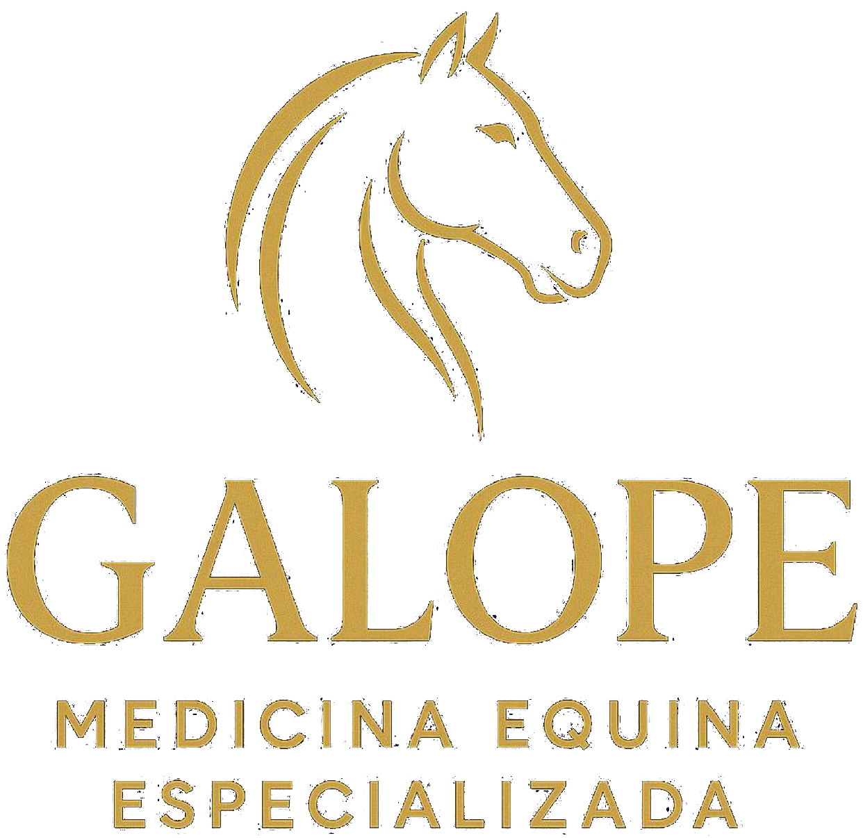 Galope